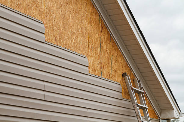 Best Storm Damage Siding Repair  in Denmark, WI